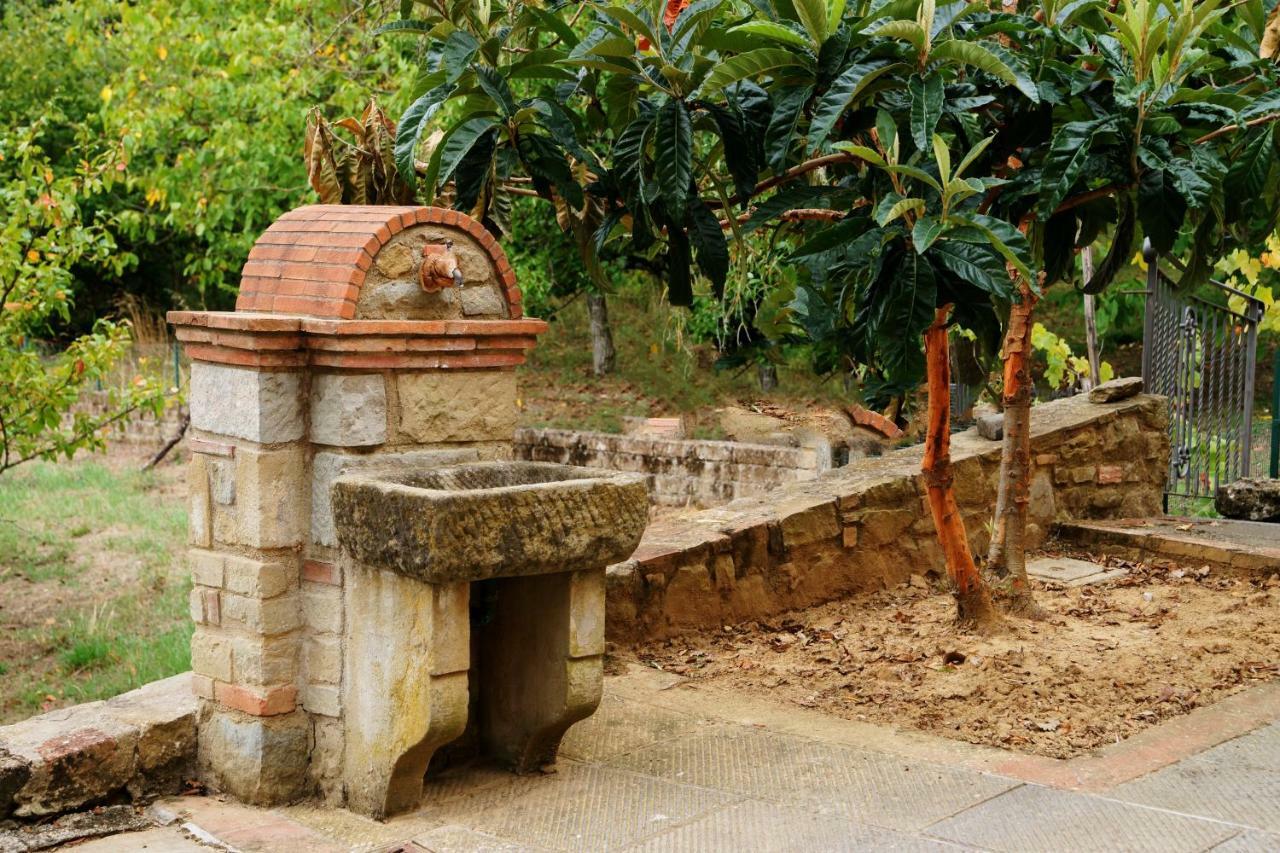 Podere Del Griccia Civitella in Val di Chiana Exteriör bild